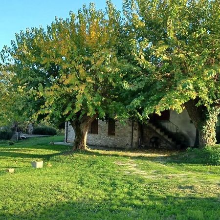 Agriturismo Canonici Amelia Exterior foto