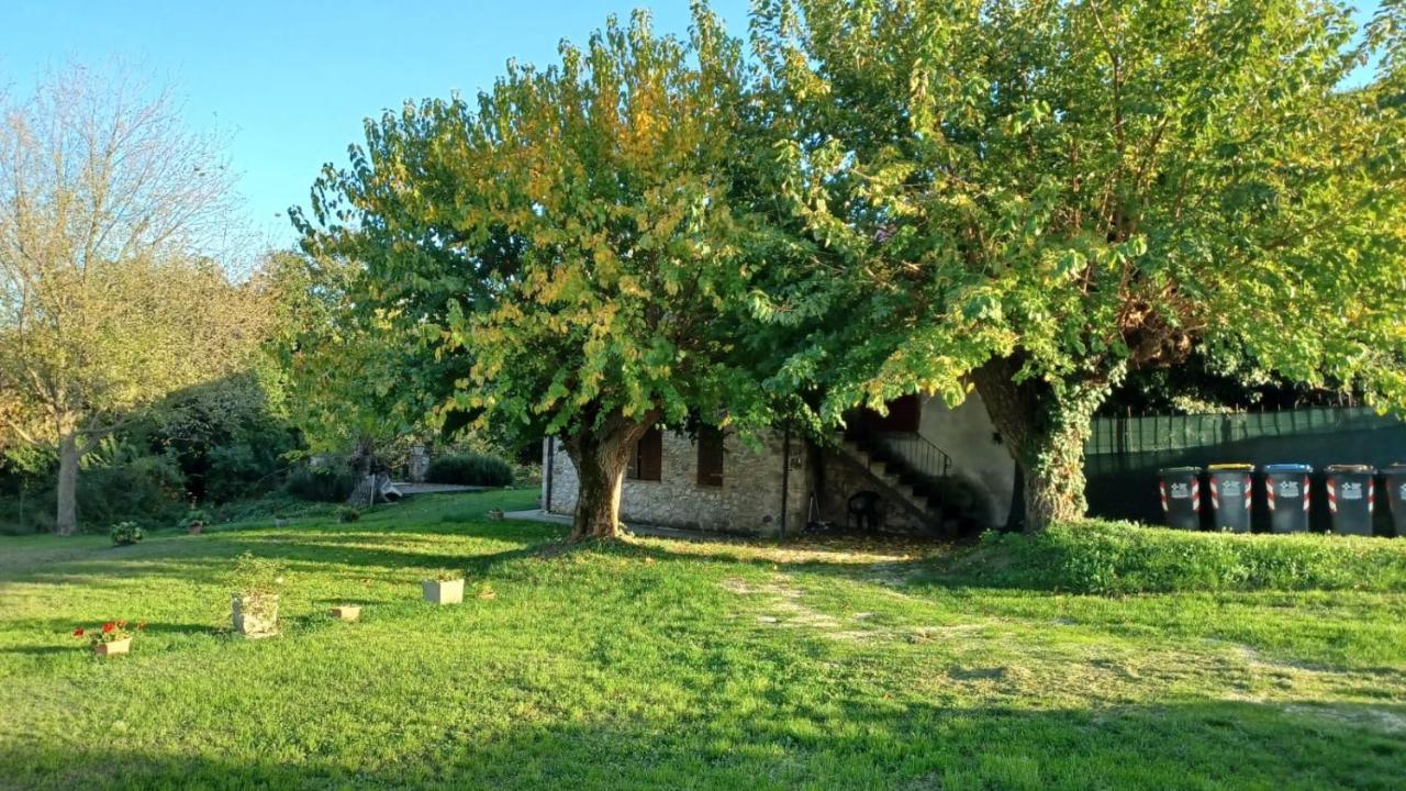 Agriturismo Canonici Amelia Exterior foto